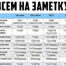 Фотография от Сергей и Наталья Мельниковы