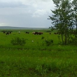 Фотография от ЕВГЕНИЙ МАЛЮТИН