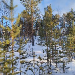 Фотография от Валентина Корнегруца (Джачвлиани)