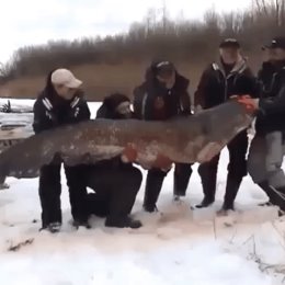 Фотография от Скачков Александр