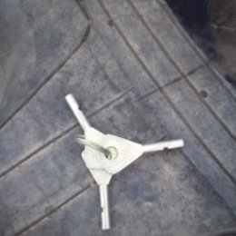 Фотография "Ключи найдены в пруду мамонтовский"