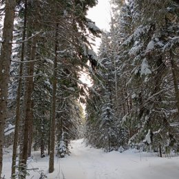 Фотография от Николай Давыденко