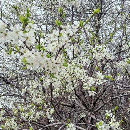 Фотография от Oльга Нигматзянова( Парилова)