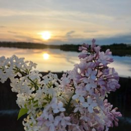 Фотография от Полина Ловец