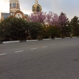 Фотография "Сочи цветёт сакура у храма  на улице Виноградной "