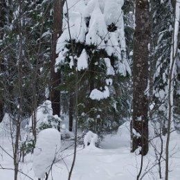 Фотография "Тяжело держать "