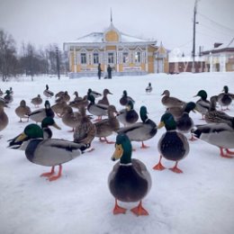 Фотография от Вера Гайнанова(Войнова)