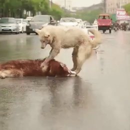 Фотография от Лариса Михайлова