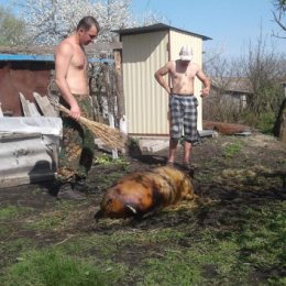 Фотография от Виталий  Пугачев 