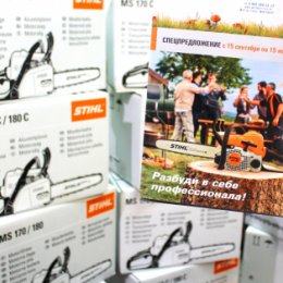 Фотография "Успей купить бензопилу STIHL по акции!!!"