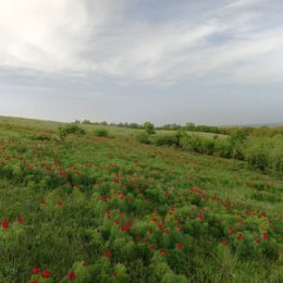 Фотография от Наталья 🌹