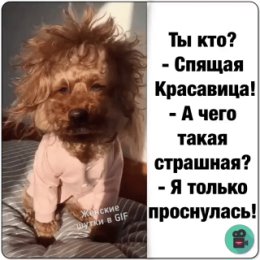 Фотография от надя новрузова