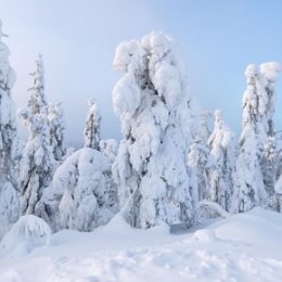 Фотография от Илона Цветинская