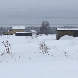 Фотография от лариса жусупова