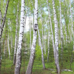 Фотография от Александр Перепечин