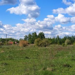 Фотография "КРАСИВО НО ХОЛОДНО.  ВЕТЕР"