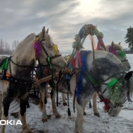 Фотография от Александр Санаров