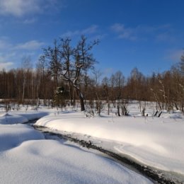 Фотография от Павел Cоколов