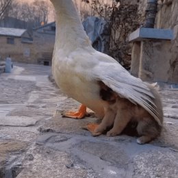 Фотография от владимир ершов