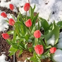 Фотография от Валентина Градобоева