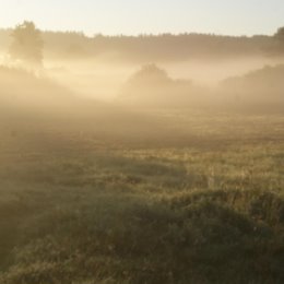 Фотография от Леонид Мальцев