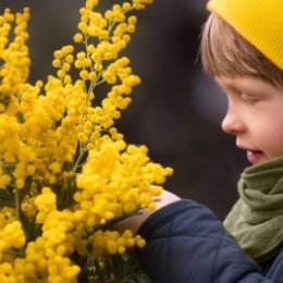 Фотография от Света Казимирова