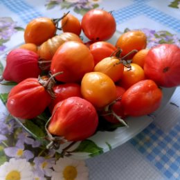 Фотография "Рекорд! Умудрилась сохранить свои томаты до 6 апреля 2024:)"