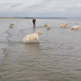 Фотография от Даша Орехова