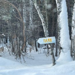 Фотография "Когда решил устроить пляжный отдых, а живёшь в Сибири!"