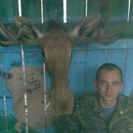 Фотография "Я в Чечне с лосем :-))"
