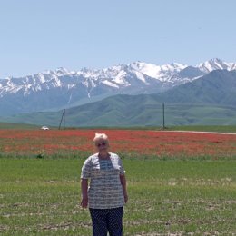 Фотография "Цветут Маки в Киргизии!
Красотища!!!
14.05.2024 г."