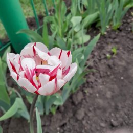 Фотография от Валентина Зудова (Крищук)