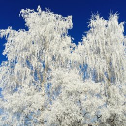 Фотография от Владимир Маслов