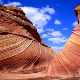 Фотография "The Wave, Coyote Buttes, Arizona, USA"