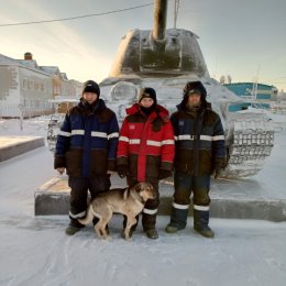 Фотография "Три танкиста и собака 🐕‍🦺"