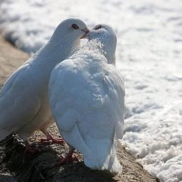 Фотография от Павел Барабанов