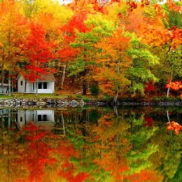 Фотография "Золотая Осень!!! Какая красота!!!"