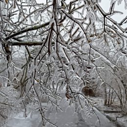 Фотография "Апрельский хрусталь."