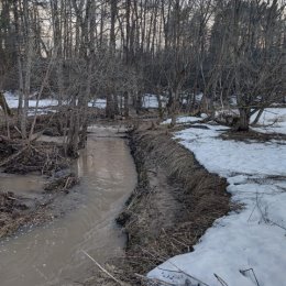 Фотография "Еще в полях белеет снег,

А воды уж весной шумят —

Бегут и будят сонный брег,

Бегут и блещут и гла"