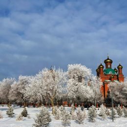 Фотография от надежда шевченко(домнина)