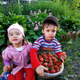 Фотография "Первые спелые ягоды и мои маленькие ягодки!!"