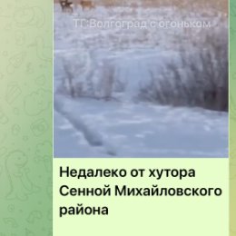 Фотография от Татьяна Камнева