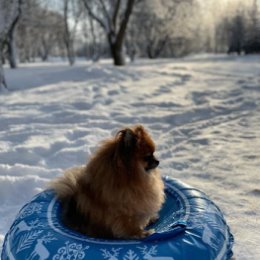 Фотография от Надежда Баранова