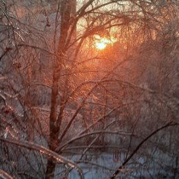 Фотография от Наталья Стриганова (Нагина)