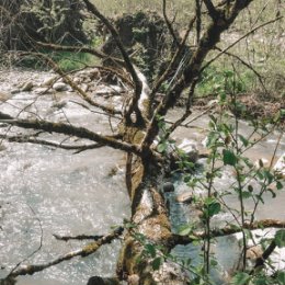 Фотография "В поисках таинственного водопада. Суадагский водопад в пещере. Почему таинственного? Потому что описание пути к этому водопаду очень скудны. Даже координаты расходятся. В интернете всего два описания и пару видео. И именно интерес к нему заставил меня искать его второй раз. Да да второй раз. В первый раз (это было в прошлом году) я его не нашел. В этот же раз я составил план поиска. Облазил там все что можно. И в итоге опять не нашёл. С расстроенными чувствами побрёл обратно. А красоту природы в тех местах словами не описать. Второй раз восторга было не меньше чем в первый. Готовлю третий поход. Осталось там ещё одно местечко куда я не заглядывал.
.
.
.
#активныйотдых #активныйобразжизни #поход #туризм #пешийтуризм #водопад #горы #река #кавказ #путешествие #прогулка #природа #outing #trip #campingtrip #walk #journey #tourism #backpacking #russia #caucasian #northernossetia #natgeowild #waterfall #mountains #river #nature #travel #пещера"