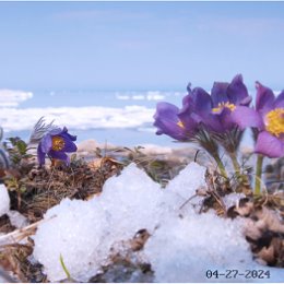 Фотография "Малое Море _ о. Байкал (27 апреля 2024г)"