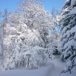 Фотография от Юрий Лятамбор