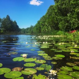 Фотография от Ирина Бутенко (Масликова)