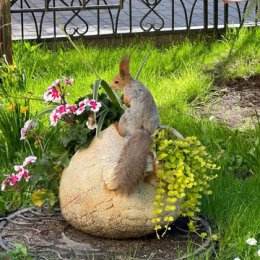 Фотография "🐿"