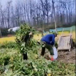 Фотография от геннадий давыдов